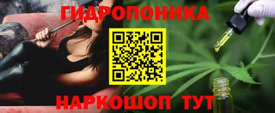 гидра Краснознаменск