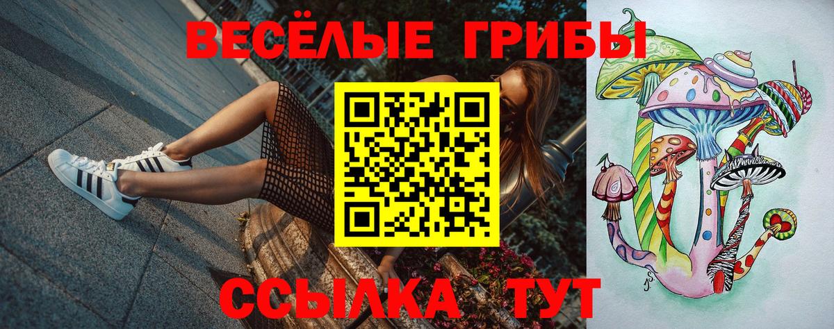Псилоцибиновые грибы Psilocybe  Псилоцибиновые грибы прущие грибы  Вход с VPN  дарнет шоп  Ирбит 